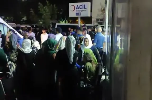 Annesini bıçaklayan kardeşini silahla öldürüp kaçtı