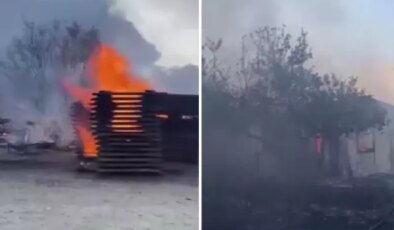 Antalya’da çıkan yangın fabrikaya sıçradı