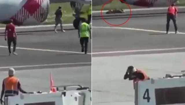 Apronda dehşet! Koşarak uçağın motorunun içine atladı