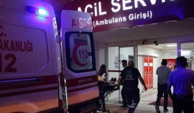 Arazi anlaşmazlığı kanlı bitti! Kuzeninin tüfeğiyle öldürüldü