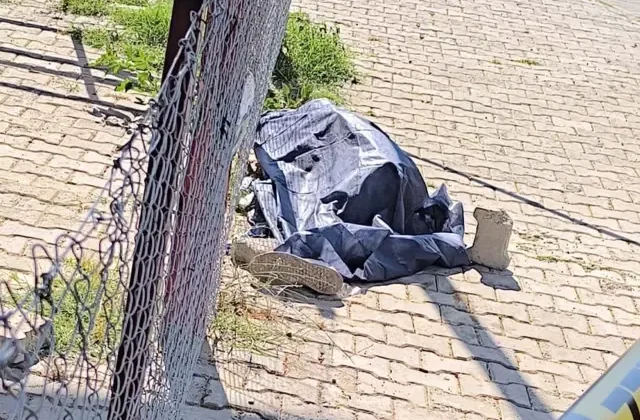 Aydın’da bir kişi sokak ortasında ölü olarak bulundu