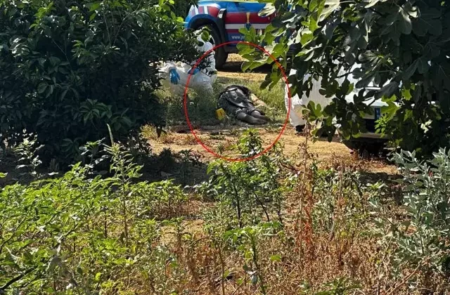 Babasını baltayla yaralayıp, korkunç şekilde yaşamına son verdi