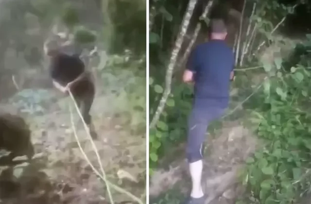 Bahçesini sulamak için içme suyu hattını deldi