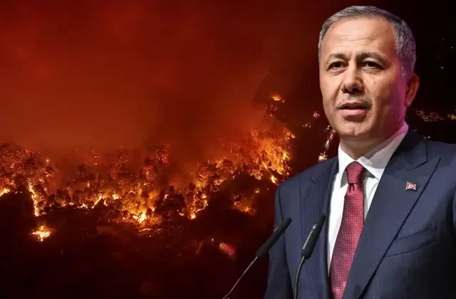 Bakan Yerlikaya: 65 orman yangınıyla ilgili 44 kişi gözaltına alındı, 10 kişi tutuklandı