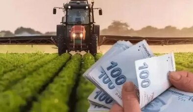 Bakanlıktan tarımda nakit destek: Çiftçiye 826 milyon TL ödeme yapıldı