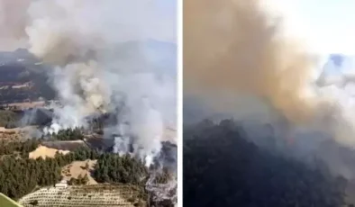 Balıkesir’de orman yangını çıktı