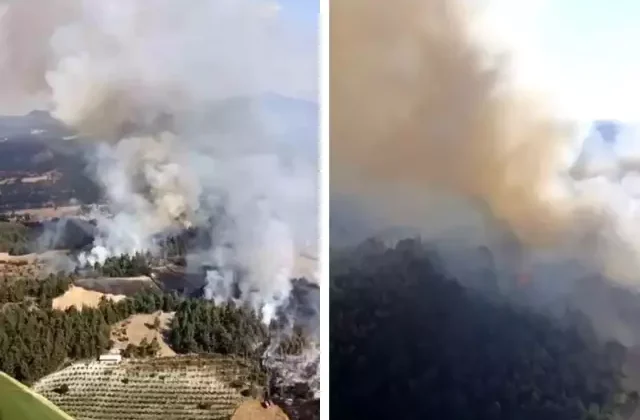 Balıkesir’de orman yangını çıktı