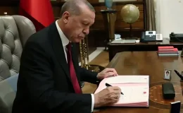 Bazı üniversitelerde yeni fakülte ve enstitüler kuruldu, bazıları kapatıldı