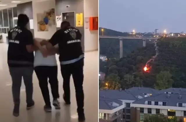 Beykoz’da işaret fişeği atarak orman yangınına sebep olan şahıs tutuklandı! İşte ilk ifadesi