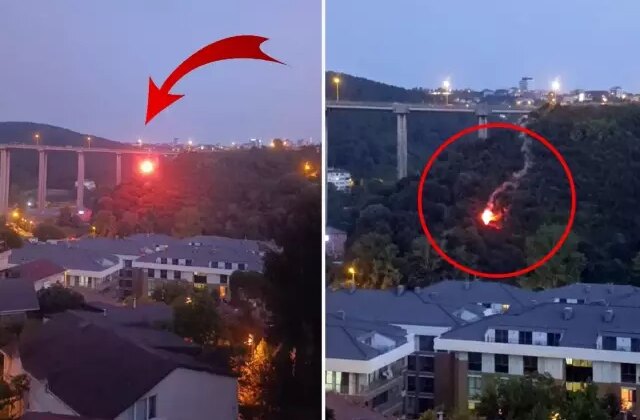 Beykoz’da ormanlık alanda yangın çıktı