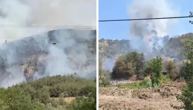 Bilecik’te iki ayrı noktada orman yangını