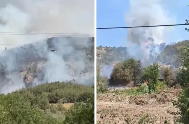 Bilecik’te iki ayrı noktada orman yangını
