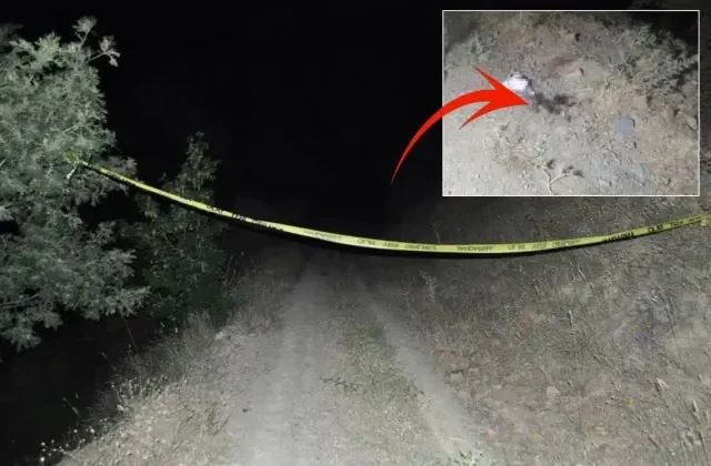 Bir garip intihar olayı! Çalıntı araçla kaçtı, jandarmaya yakalanınca canına kıydı
