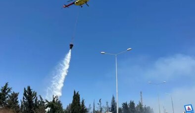Bir orman yangını da İzmir’de! Bornova’da başlayıp Buca’ya sıçradı