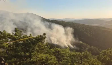 Bolu’dan korkutan orman yangını