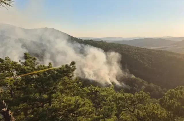 Bolu’dan korkutan orman yangını