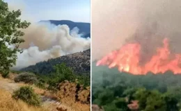 Bursa-Balıkesir sınırında orman yangını! Bir mahalle tahliye edildi