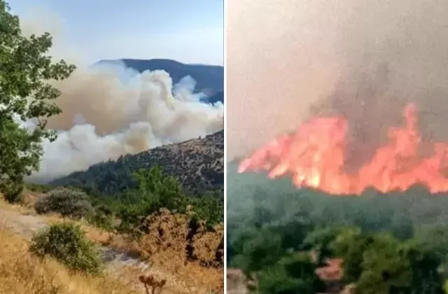 Bursa-Balıkesir sınırında orman yangını! Bir mahalle tahliye edildi