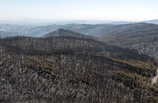 Bursa’da acı tablo! Yangının bıraktığı tahribat havadan görüntülendi