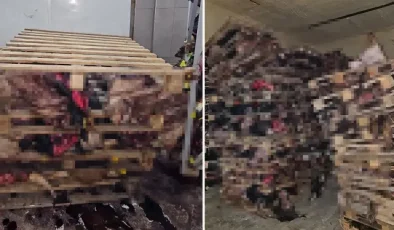 Bursa’da boş tamirhanede çürümüş hayvan kafaları bulundu