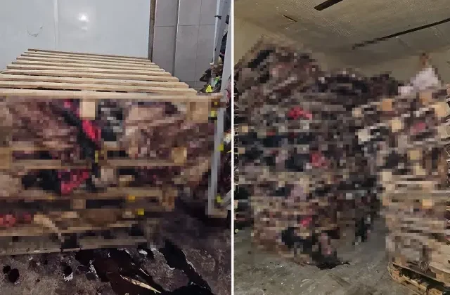 Bursa’da boş tamirhanede çürümüş hayvan kafaları bulundu