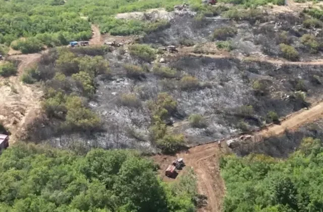 Bursa’da orman yangını soruşturmasında bir tutuklama