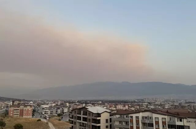 Bursa’daki orman yangınının dumanı kent semalarına ulaştı