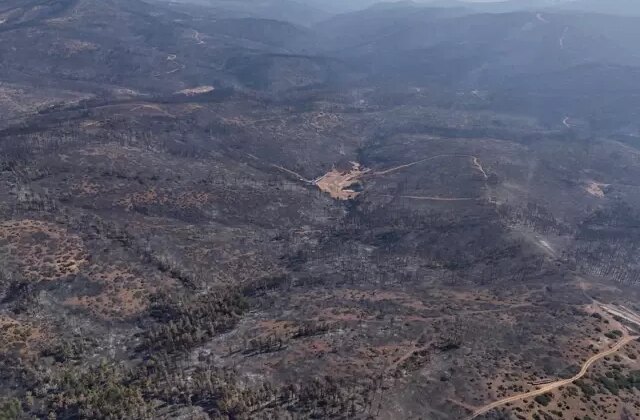 Bursa’daki orman yangınları 5. günde kontrol altına alındı