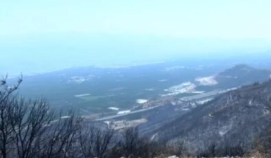 Bursa’da orman yangınlarının ardından ‘hava kirliliği’ alarmı: Şikayetler yüzde 30 arttı
