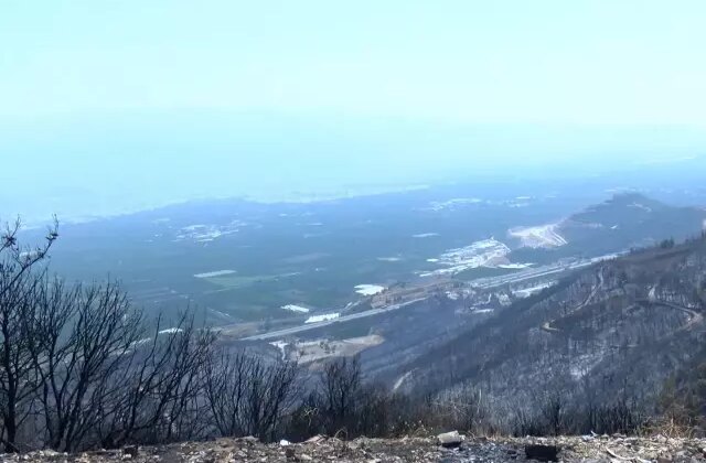 Bursa’da orman yangınlarının ardından ‘hava kirliliği’ alarmı: Şikayetler yüzde 30 arttı