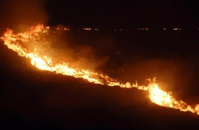 Çiftçileri yakından ilgilendiriyor! İstanbul’da orman yangınlarına karşı yeni önlem