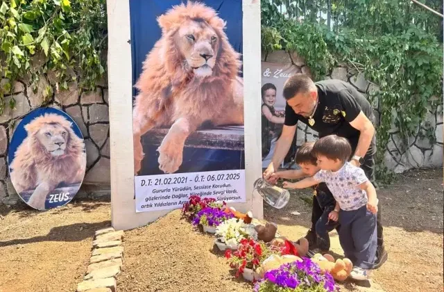 Çiftçiye saldıran aslanın sahibinden tuhaf mezar: Nereye baksam Zeus’u görüyorum
