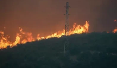 Eskişehir’de yangında alevlerin arasında kalan 10 orman işçisi ve AKUT çalışanı şehit oldu