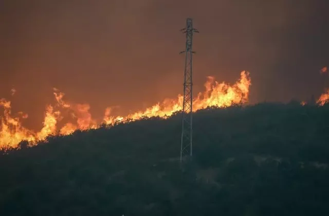 Eskişehir’de yangında alevlerin arasında kalan 10 orman işçisi ve AKUT çalışanı şehit oldu