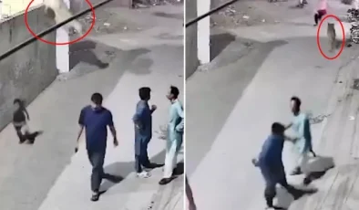 Evde bakılan aslan, duvardan atlayarak sokaktaki insanlara saldırdı