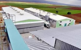 FETÖ soruşturmasında YUMTAT’a da kayyum atandı