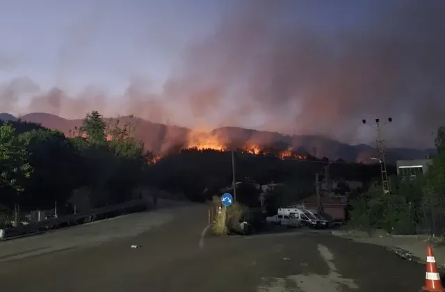 Hatay’da orman yangını 2’nci günde sürüyor