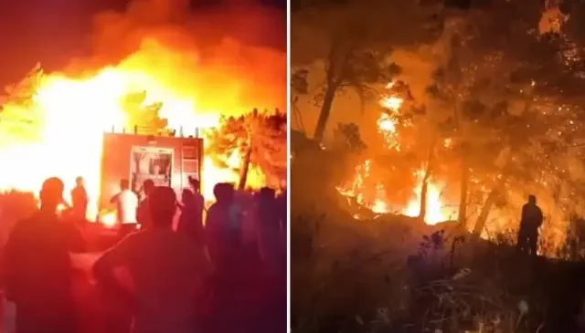 Hatay’da ormanlık alanda yangın çıktı