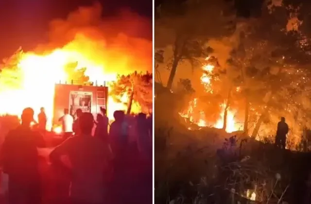 Hatay’da ormanlık alanda yangın çıktı