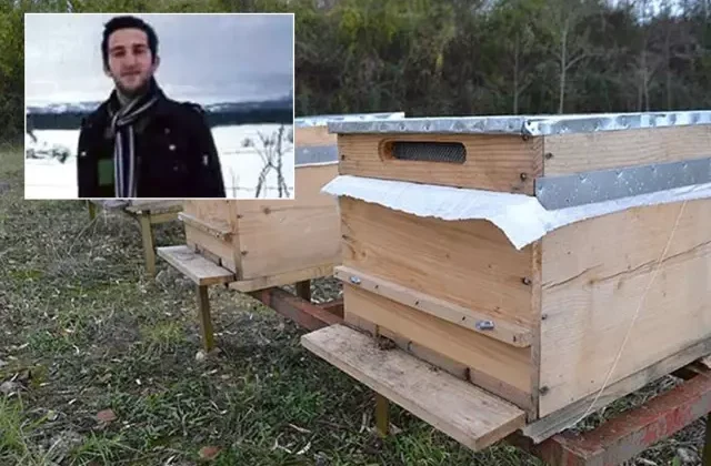 Hayatının baharındaki genç, arı sokmasından yaşamını yitirdi