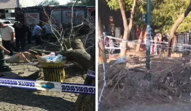 İstanbul’da rüzgarın devirdiği ağaç 3 kişiyi yaraladı