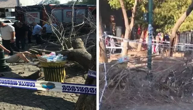 İstanbul’da rüzgarın devirdiği ağaç 3 kişiyi yaraladı