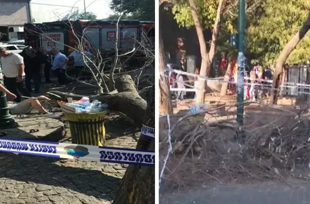 İstanbul’da rüzgarın devirdiği ağaç 3 kişiyi yaraladı