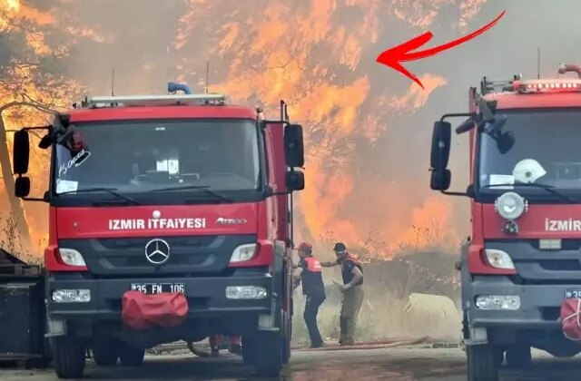 İzmir ve Bursa’da ciğerlerimiz alev alev yanıyor