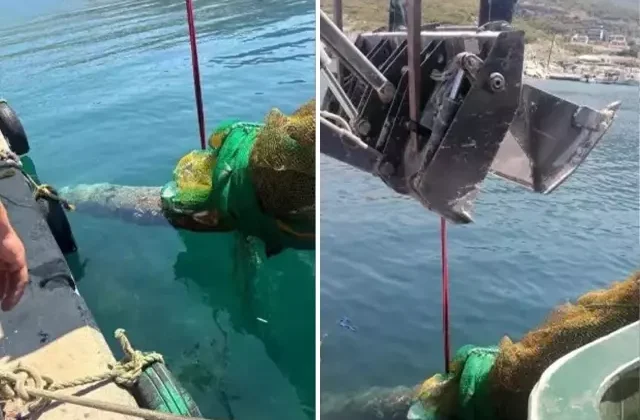 Karaburun’da balıkçıların ağına denizaltı torpidosu takıldı