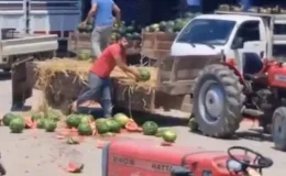 Karpuz parçalayan iki üretici yandı! Fahiş ceza yolda