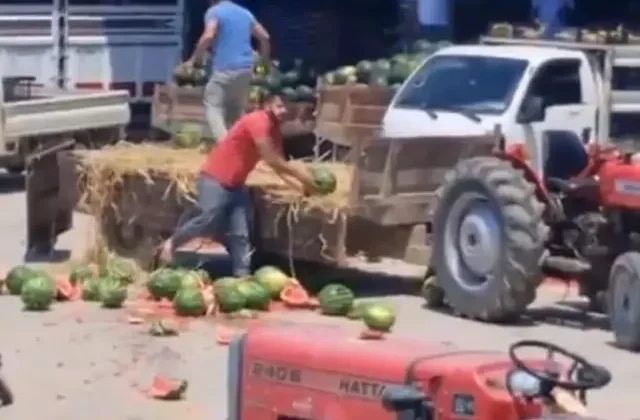 Karpuz parçalayan iki üretici yandı! Fahiş ceza yolda