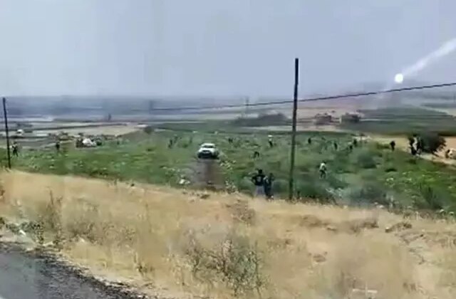 Karpuz tarlası sahibi karşılaştığı manzara karşısında şoke oldu