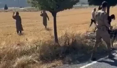 Kaza sonrası yardıma giden jandarmaya taş, sopa ve bıçaklarla saldırdılar