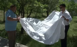 Kene nasıl tespit edilir? Profesörden açık renkli örtü tüyosu